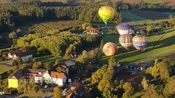 Startende Ballone auf einer Wiese