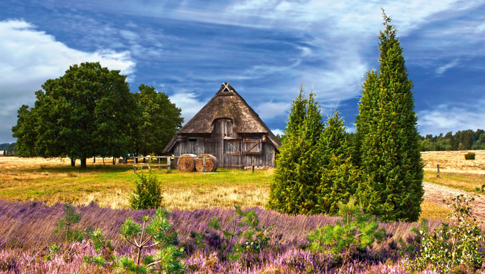 Hütte in der Lüneburger Heide